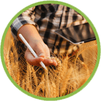 Field Management