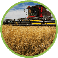 Harvesting