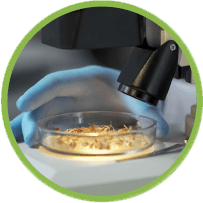 ضمان الجودة