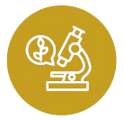 Research Collaborations