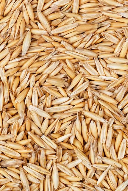 seeds image
